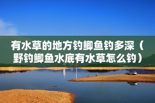 有水草的地方钓鲫鱼钓多深（野钓鲫鱼水底有水草怎么钓）