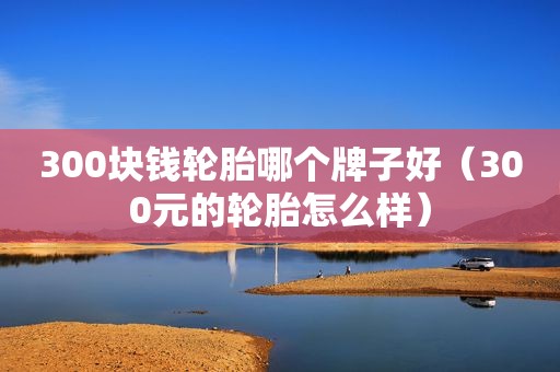 300块钱轮胎哪个牌子好（300元的轮胎怎么样）