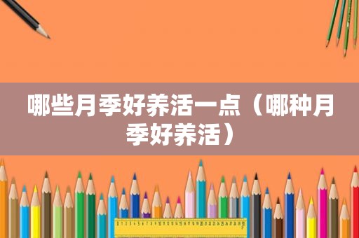 哪些月季好养活一点（哪种月季好养活）