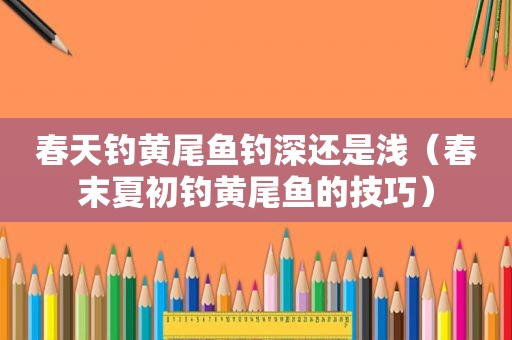 春天钓黄尾鱼钓深还是浅（春末夏初钓黄尾鱼的技巧）
