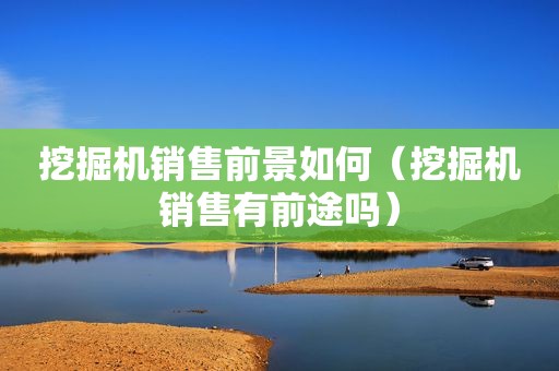 挖掘机销售前景如何（挖掘机销售有前途吗）