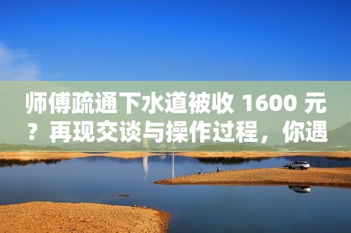 师傅疏通下水道被收 1600 元？再现交谈与操作过程，你遇到过吗？