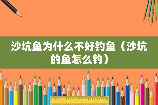 沙坑鱼为什么不好钓鱼（沙坑的鱼怎么钓）