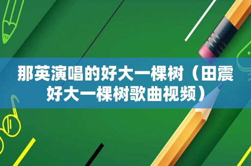 那英演唱的好大一棵树（田震好大一棵树歌曲视频）