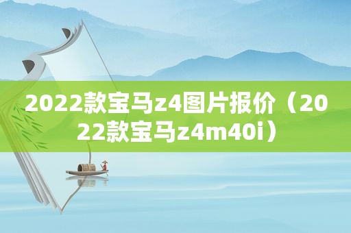 2022款宝马z4图片报价（2022款宝马z4m40i）