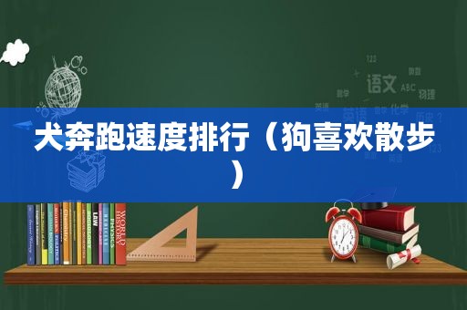 犬奔跑速度排行（狗喜欢散步）