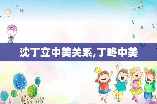 沈丁立中美关系,丁咚中美