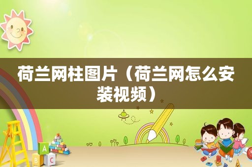 荷兰网柱图片（荷兰网怎么安装视频）