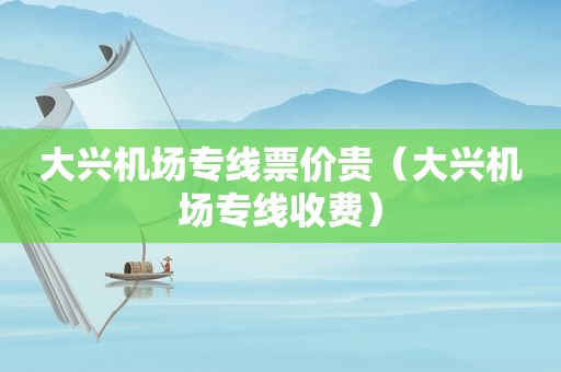 大兴机场专线票价贵（大兴机场专线收费）