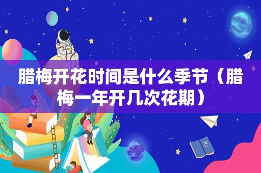 腊梅开花时间是什么季节（腊梅一年开几次花期）