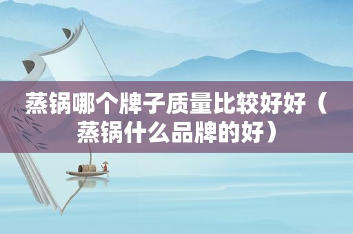 蒸锅哪个牌子质量比较好好（蒸锅什么品牌的好）