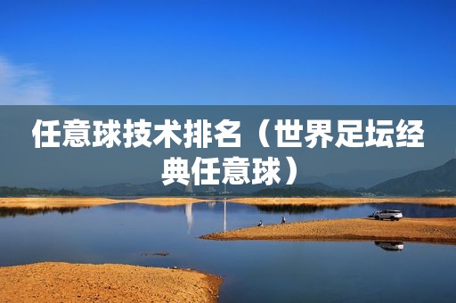 任意球技术排名（世界足坛经典任意球）