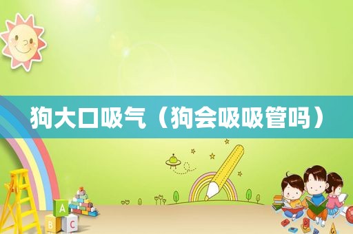 狗大口吸气(狗会吸吸管吗) 狗大口吸气(狗会吸吸管吗)