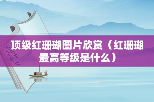 顶级红珊瑚图片欣赏（红珊瑚最高等级是什么）