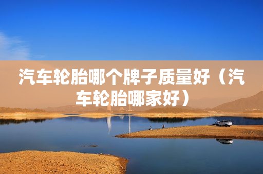 汽车轮胎哪个牌子质量好（汽车轮胎哪家好）