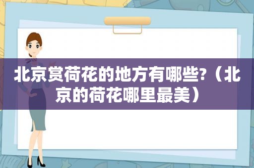 北京赏荷花的地方有哪些?（北京的荷花哪里最美）