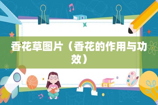 香花草图片（香花的作用与功效）