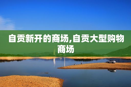 自贡新开的商场,自贡大型购物商场  第1张