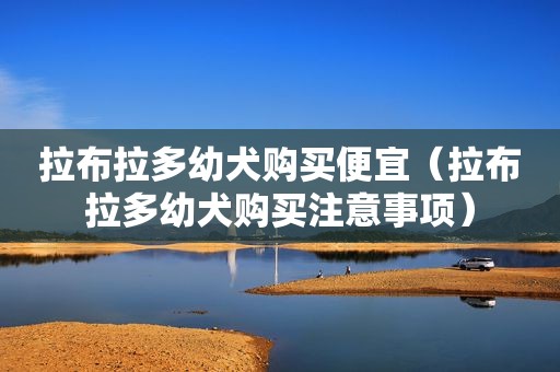 拉布拉多幼犬购买便宜（拉布拉多幼犬购买注意事项）