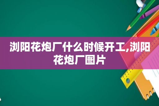 浏阳花炮厂什么时候开工,浏阳花炮厂图片  第1张