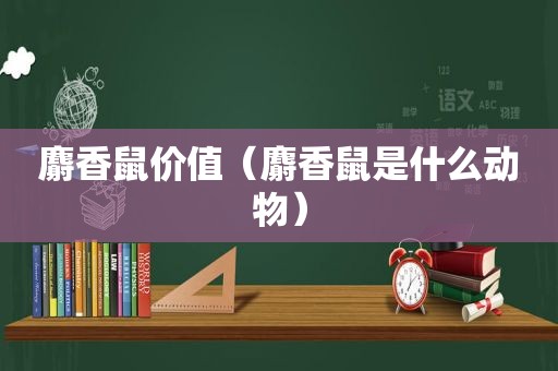 麝香鼠价值（麝香鼠是什么动物）