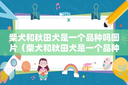 柴犬和秋田犬是一个品种吗图片（柴犬和秋田犬是一个品种吗视频）  第1张