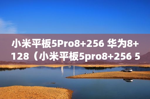 小米平板5Pro8+256 华为8+128（小米平板5pro8+256 5G）