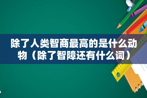 除了人类智商最高的是什么动物（除了智障还有什么词）