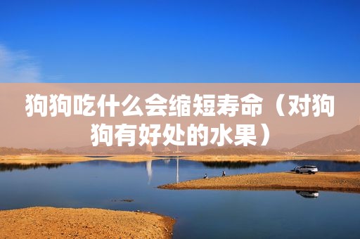 狗狗吃什么会缩短寿命（对狗狗有好处的水果）