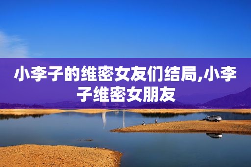 小李子的维密女友们结局,小李子维密女朋友