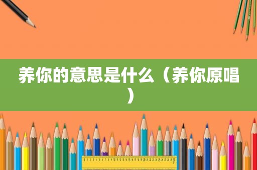 养你的意思是什么（养你原唱）
