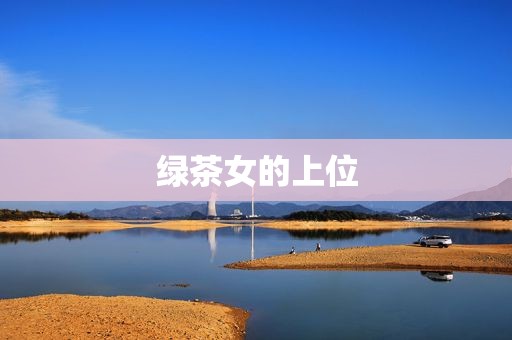 绿茶女的上位