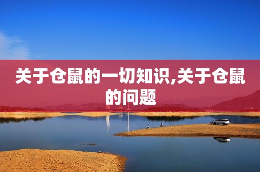 关于仓鼠的一切知识,关于仓鼠的问题