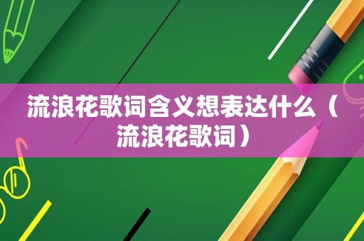 流浪花歌词含义想表达什么（流浪花歌词）