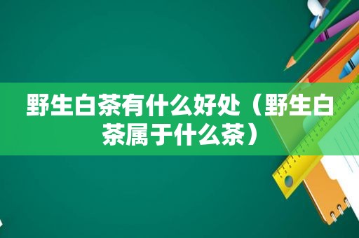 野生白茶有什么好处（野生白茶属于什么茶）