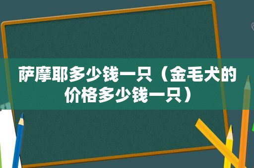 萨摩耶多少钱一只（金毛犬的价格多少钱一只）