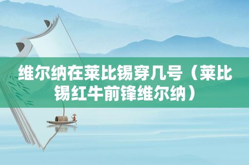 维尔纳在莱比锡穿几号（莱比锡红牛前锋维尔纳）