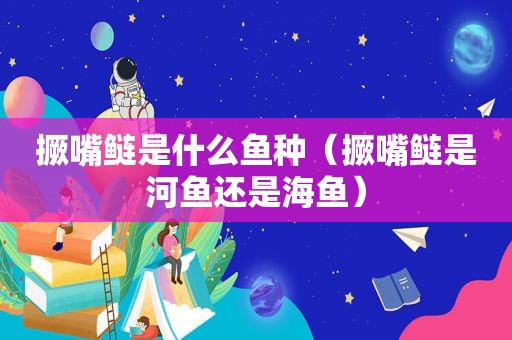 撅嘴鲢是什么鱼种（撅嘴鲢是河鱼还是海鱼）