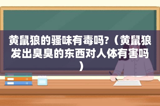 黄鼠狼的骚味有毒吗?（黄鼠狼发出臭臭的东西对人体有害吗）