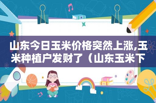 山东今日玉米价格突然上涨,玉米种植户发财了（山东玉米下跌）