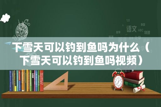 下雪天可以钓到鱼吗为什么（下雪天可以钓到鱼吗视频）