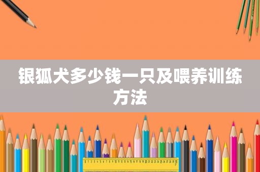 银狐犬多少钱一只及喂养训练方法