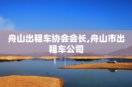 舟山出租车协会会长,舟山市出租车公司
