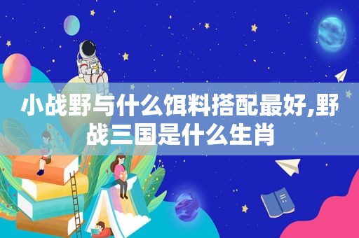 小战野与什么饵料搭配最好,野战三国是什么生肖