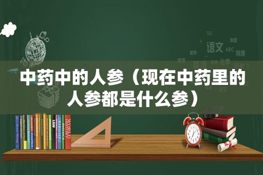 中药中的人参（现在中药里的人参都是什么参）