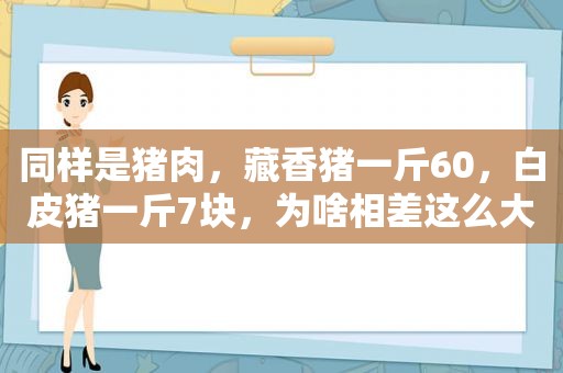 同样是猪肉，藏香猪一斤60，白皮猪一斤7块，为啥相差这么大？