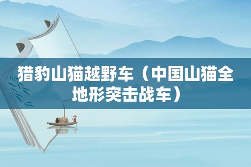 猎豹山猫越野车（中国山猫全地形突击战车）