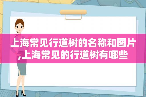 上海常见行道树的名称和图片,上海常见的行道树有哪些