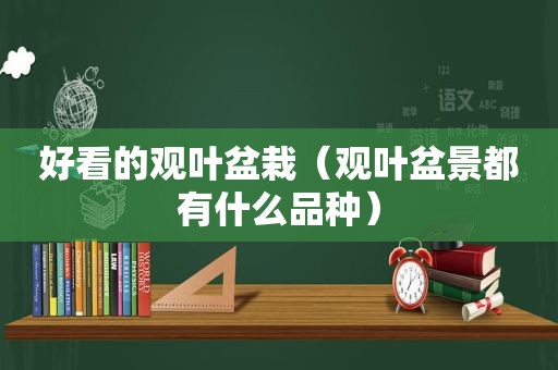 好看的观叶盆栽（观叶盆景都有什么品种）