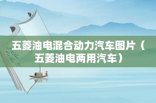 五菱油电混合动力汽车图片（五菱油电两用汽车）